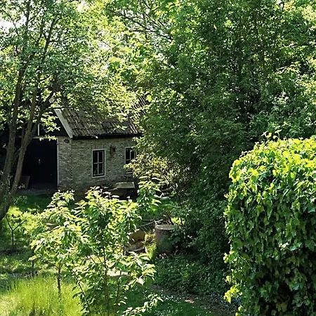 Pastorie Bed & Breakfast De Waal